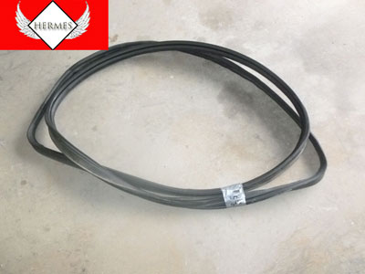 Ford expedition weather strips #3